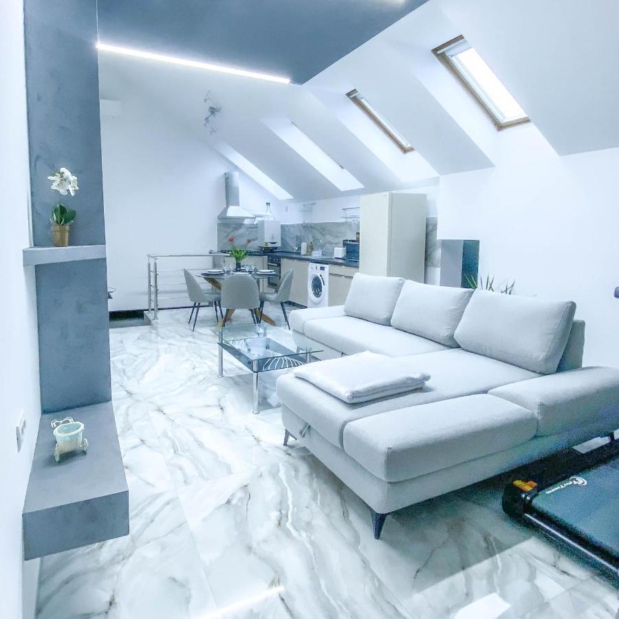 The Residence Of Silver Sky House Тимишоара Экстерьер фото