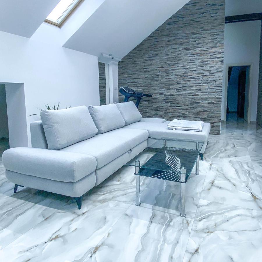 The Residence Of Silver Sky House Тимишоара Экстерьер фото