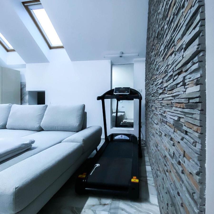 The Residence Of Silver Sky House Тимишоара Экстерьер фото